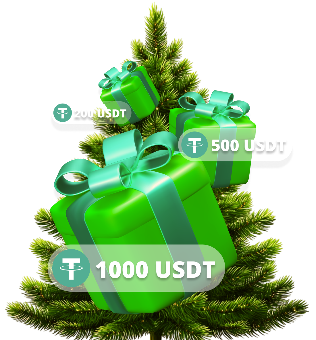 ELCapitalo banner image